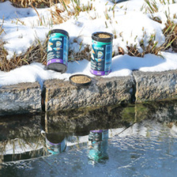 Propond Winter S